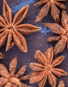 Anise Star (بادیان)