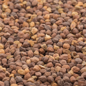 Chickpea Black Organic (دیسی کالا چنا)